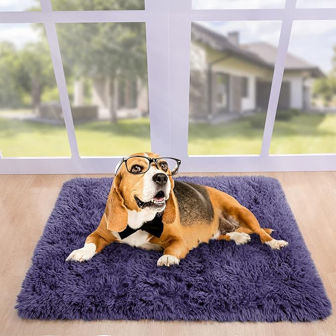 Noahas Fluffy Taro Purple Rugs for Bedroom Girls,Door Mat Indoor Entrance,2x3 Shaggy Small Non-Slip Entryway Entry Area Rugs,Soft Bedside Throw Kids Carpet Home Decor