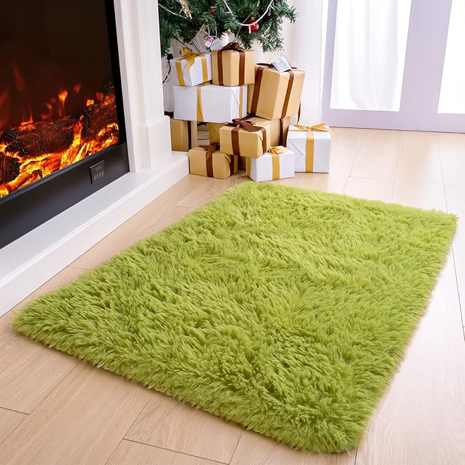 Noahas Door Mat Indoor Entrance,2x3 Shaggy Small Green Area Rugs for Entryway,Non-Slip Fluffy Entry Bedroom Rug,Soft Plush Bedside Throw Kids Carpet