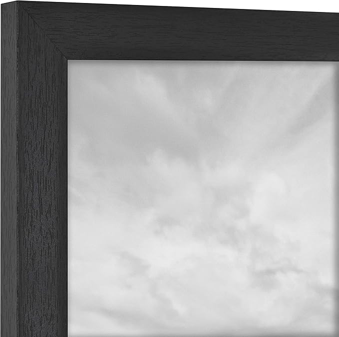 MCS Studio Gallery 16x16 Wood Poster Frame Black Woodgrain Engineered Wood, Vertical & Horizontal Wall Hanging Large Picture Frame for Photos, Posters & Art Prints (2-Pack)