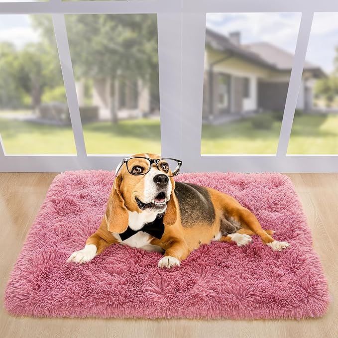 Noahas Fluffy Blush Rugs for Bedroom Girls,Door Mat Indoor Entrance,2x3 Shaggy Small Non-Slip Entryway Entry Area Rugs,Soft Plush Bedside Throw Kids Carpet Home Decor