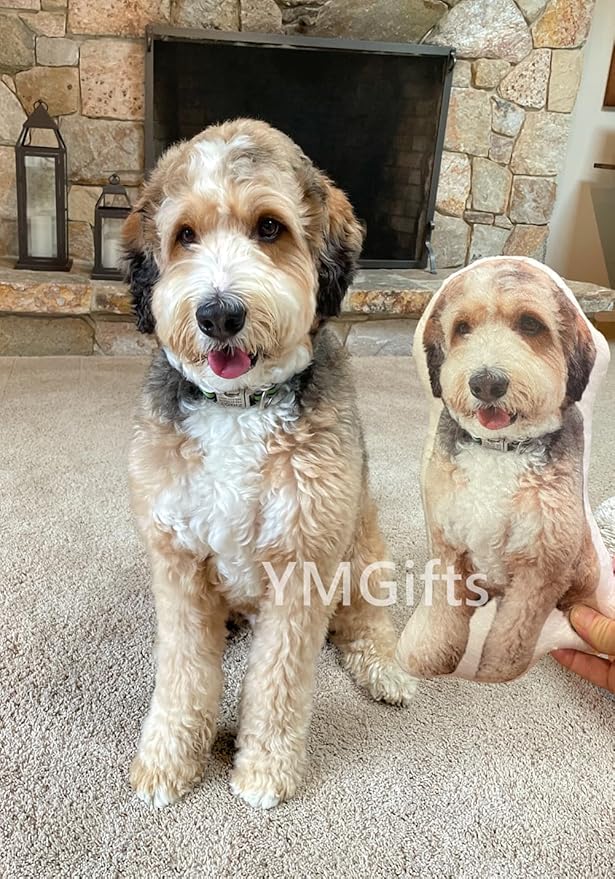 Pet Loss Dog Cat Pillow Animal Pillow Memory Pillow Custom Pet Portrait Bed Pillow (16", Colorful)