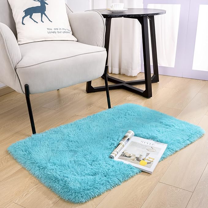 Noahas Door Mat Indoor Entrance,2x3 Shaggy Small Teal Blue Area Rugs for Entryway,Non-Slip Fluffy Entry Bedroom Rug,Soft Plush Bedside Throw Kids Carpet