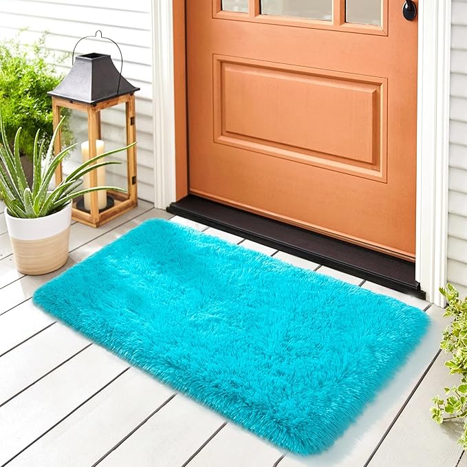 Noahas Door Mat Indoor Entrance,2x3 Shaggy Small Teal Blue Area Rugs for Entryway,Non-Slip Fluffy Entry Bedroom Rug,Soft Plush Bedside Throw Kids Carpet