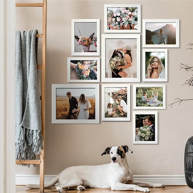 LUCKYLIFE Picture Frame Set 10-Pack, Gallery Wall Frame Collage with 8x10 5x7 4x6 Frames in White Finishes