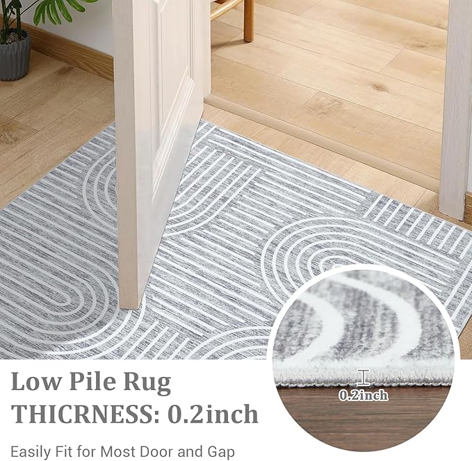 ROYHOME Washable Rug 6x9 Area Rugs for Living Room, Abstract Rug for Bedroom, Soft Rainbow Non Slip Throw Rugs with Rubber Back, Low Pile Stain Resistant Boho Geometric Carpet for Dining Room, Ash
