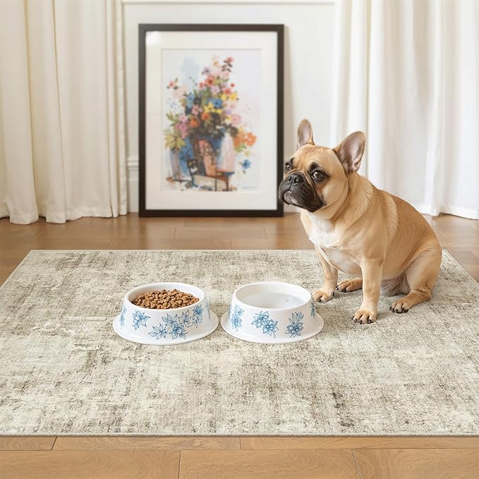 Soalmost 2x3 Washable Rugs for Kitchen, Floor, Entryway, Powder Room Small Area Rug Non-Slip Vintage Low Pile Throw Door Mat Beige/Gray