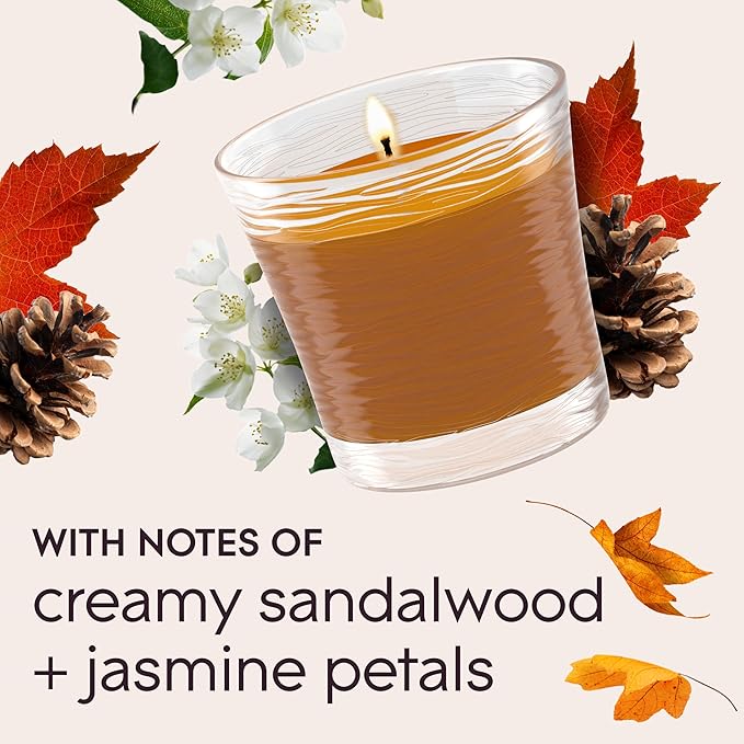 Glade 1-Wick Scented Candle Jar, Cashmere Woods, Air Freshener Infused with Essential Oils, 4.08 Oz, 3 Count