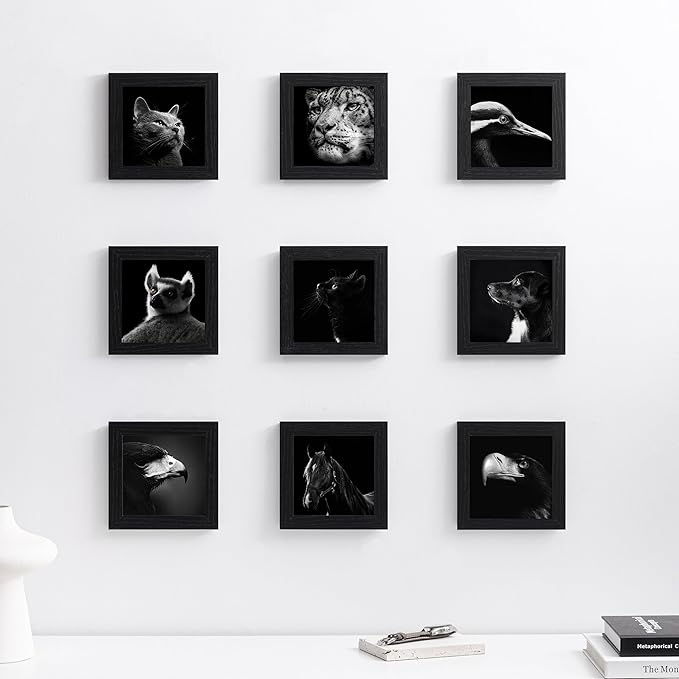 eletecpro 5x5 Picture Frames Set of 9 Classic Gallery Wall Frame Set Displays 5x5 Photo without Mat Square Picture Frames Collage Wall Decor, Black Modern Home Decor for Tabletop and Wall and Mounting