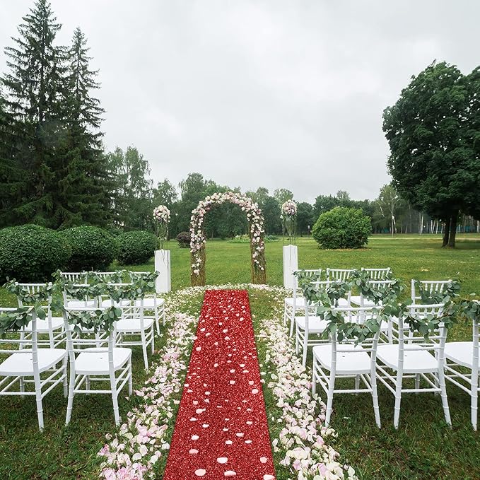 Tatuo Carpet Runner 2.46 x 30 ft Runway Rug 55 GSM Thickness with Carpet Tape for Prom Graduation Wedding Outdoor Indoor Hallway Movie Party Decoration Rug(2.46 x 30 Feet,Glitter Red)