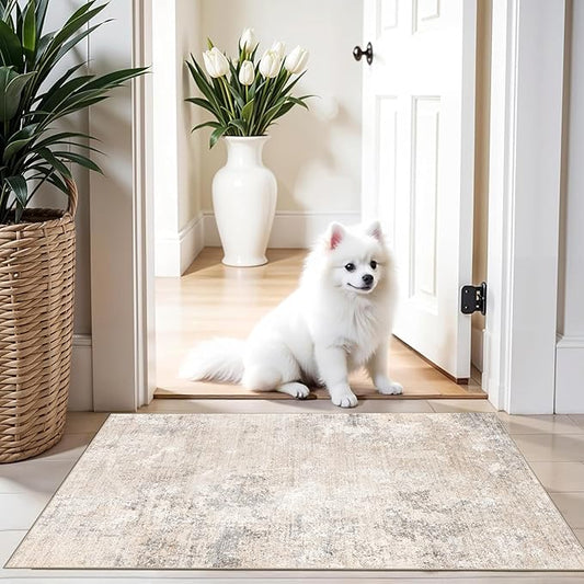 2x3 Washable Non-Slip Rug – Modern Abstract Neutral Small Throw Area Rug for Kitchen, Entryway, Bedroom – Soft Low Pile Thin Indoor Door Mat (Beige Grey, 2x3)
