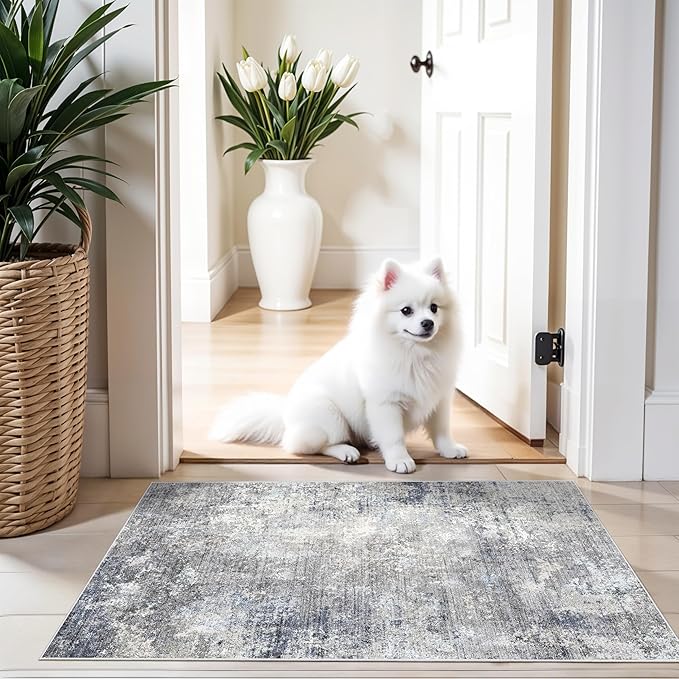 2x3 Washable Non-Slip Rug – Modern Abstract Neutral Small Throw Area Rug for Kitchen, Entryway, Bedroom – Soft Low Pile Thin Indoor Door Mat（Blue Grey,2x3）