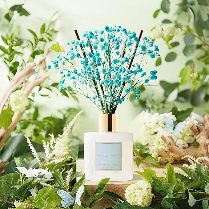 COCORR??NA Reed Diffuser - Wild Mint & Eucalyptus 6.7 Fl.oz Reed Diffuser Set with Sticks & Preserved Baby's Breath, Reed Diffuser for Home Bathroom Shelf Decor