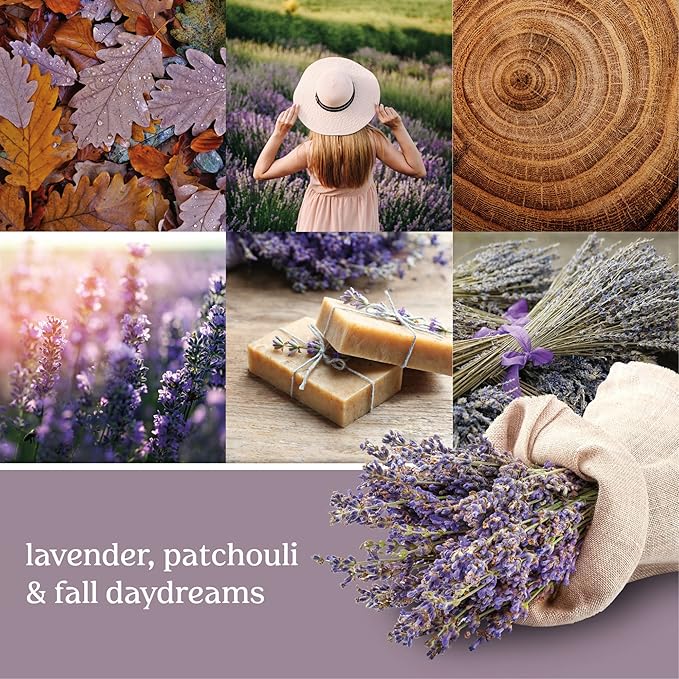 Yankee Candle Dried Lavender & Oak Scented, 22 Oz | Large Jar | Single Wick | 110+ Hours Burn Time | Pack of 2