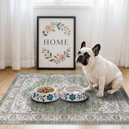 RUUGME Washable 2x3 Area Rugs - Non Slip Rug for Living Room Stain Resistant Carpet Vintage Tribal Rugs for Bedroom Kitchen Bathroom with Non Slip Backing Home Decor Floor Decoration Mat 2x3 Sage