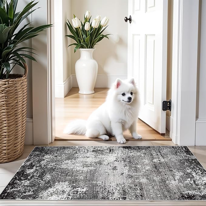 2x4 Washable Runner Rug – Non-Slip Small Throw Rug for Kitchen Floor, Bedroom, Entryway, Bathroom, Bedside – Modern Abstract Neutral Low-Pile Thin Indoor Door Mat（Black Grey,2x4）