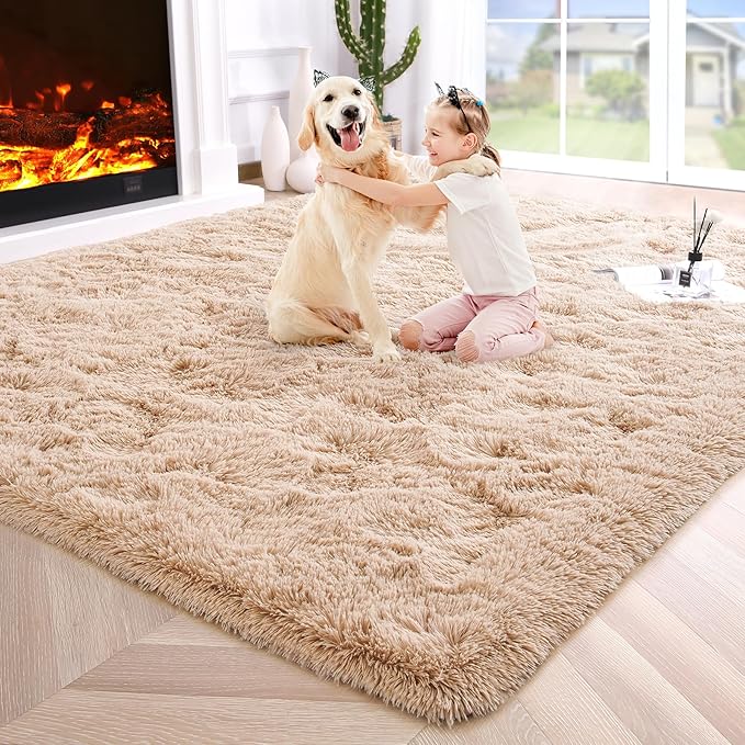 Noahas Fluffy Beige 4x6 Area Rugs for Bedroom Living Room,Thick Shag Throw Floor Carpet,Soft Shaggy Bedside Non-Slip Plush Dorm Nursery Kids Rug