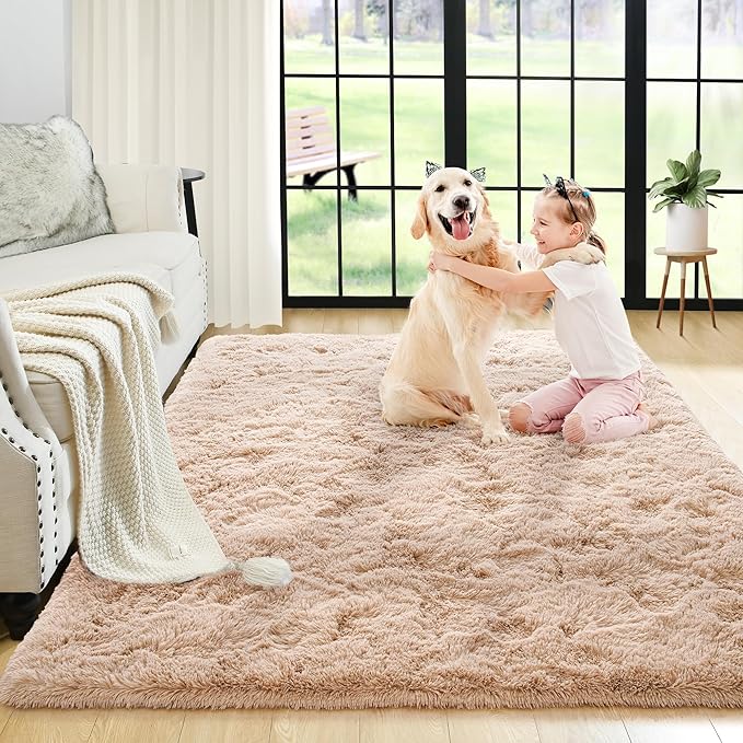 Noahas Fluffy Bedroom Rug,3x5 Feet Plush Fuzzy Beige Area Rugs for Living Room, Non Slip Thick Soft Shaggy Nursery Furry Floor Dorm Kids Carpet