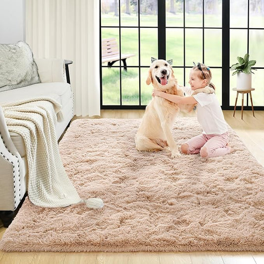 Noahas Fluffy Bedroom Rug,3x5 Feet Plush Fuzzy Beige Area Rugs for Living Room, Non Slip Thick Soft Shaggy Nursery Furry Floor Dorm Kids Carpet