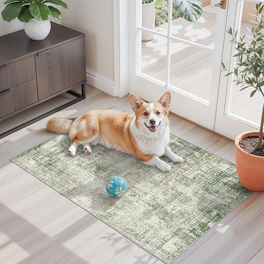 2x3 Washable Non-Slip Area Rug - Soft Low Pile Throw Rug for Kitchen Entryway Bedroom - Modern Indoor Door Mat with Rubber Backing (Sage/Green)