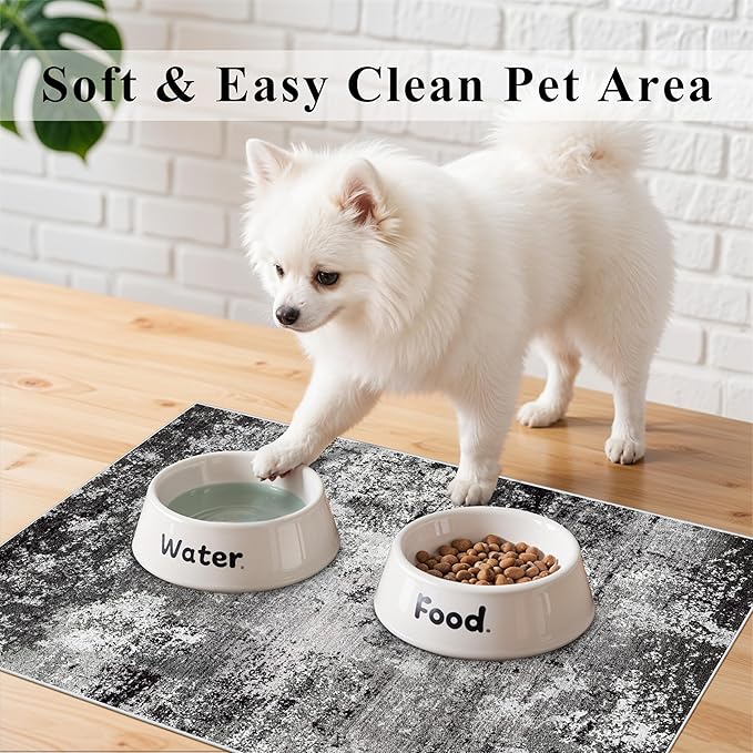 2x3 Washable Entryway Rug – Non-Slip Modern Abstract Neutral Small Throw Area Rug for Kitchen, Bedroom – Soft Low Pile Thin Indoor Door Mat（Black Grey,2x3）