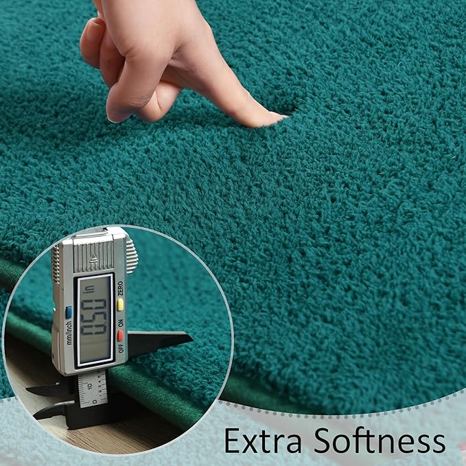 Soft Rugs for Living Room 4x6 Teal Green, Minimalist Area Rug for Bedroom Nursery Dining Table Dorm, Throw Rugs for Men Boys Girls Kids Room Indoor Floor Carpets